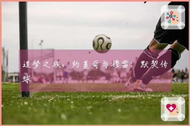 追梦之旅，约基奇与穆雷：默契传球