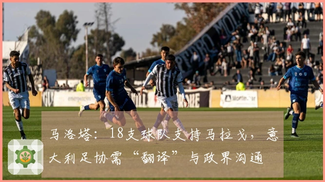 马洛塔：18支球队支持马拉戈，意大利足协需“翻译”与政界沟通