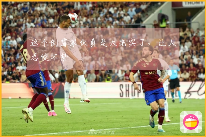 这个倒霉家伙真是太老实了，让人忍俊不禁