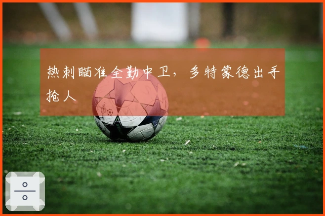 热刺瞄准全勤中卫，多特蒙德出手抢人